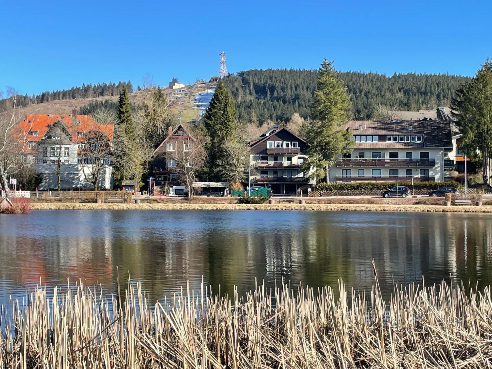 Wohnunghahnenkleeld Goslar Buitenkant foto